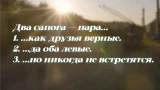 «Два сапога — пара…», а дальше знают единицы — сможете продолжить известную поговорку или нет