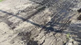 Собаки, люди и трава погрязли в гудроне в Росляково