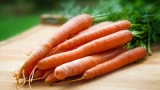 Салат из моркови делаю кастрюлями: бьёт рекорды по исчезновению со стола — мигом улетает