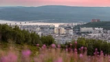 Программой «Гектар Арктики» в Мурманской области воспользовались 22% участников из других регионов
