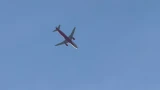 Виновата птица: «Аэрофлот» предъявил иск к аэропорту Мурманска