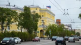Мэрия: Деревья в центре Мурманска засыхают из-за неправильного проектирования зелёных зон в 60-х