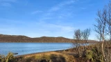 В водоемах Кольского полуострова обнаружены возбудители «паразитарной слепоты»