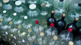 Ставлю пластиковые бутылки возле огурцов: 2 недели прекрасно растут без присмотра — метод белорусских дачников