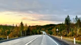 С начала 2025 года в Мурманской области сбили 9 лосей и одного зайца
