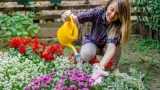Однолетники будут цвести до морозов: секреты продления жизни растений — раскрыл ландшафтный дизайнер