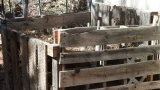 Быстрый компост за 1 месяц: ускоренная технология — сделать проще простого