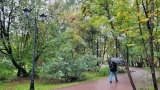 Горячая и горящая пора продолжается в Мурманской области