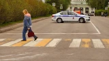 Неадекватный мужчина бросался под автомобили в Кировске — ХибИнформБюро
