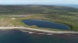 Кильдинская треска в Мурманской области находится под угрозой исчезновения — РГО