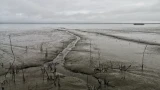 Вода исчезает, рыбы становится всё меньше: что происходит с Доном и Волгой