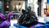 Жители СЗФО оказались в лидерах по оплате услуг за вывоз ТКО