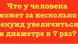 Загадка для настоящих аналитиков: кто догадается, тот гений — проверьте себя