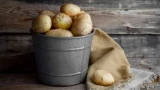 3 главных правила сушки картофеля: не вянет и не гниёт — урожай сохранится до самой весны