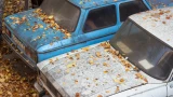 От простоя машине только хуже: популярное заблуждение водителей о частоте эксплуатации личного авто, машина должна работать