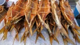 Поездка в Астрахань: вобла, как часть местной кулинарной культуры — где купить и в чем особенность этой рыбы