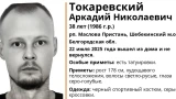 Волонтеры ищут в Заполярье пропавшего из Белгородской области
