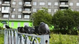 До +20 градусов: В течение недели северян посетит тепло «бабьего лета» – эксперт из Москвы