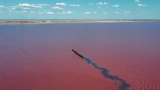 Уникальное озеро Бурсоль на Алтае: розовая вода и рельсы, идущие по дну — чем оно интересно