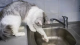 Жители Мурманска на время останутся без воды, света и газа