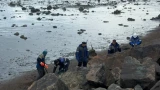 В Мурманске пытаются вручную убрать разлив мазута на берегу Кольского залива