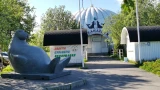 Дождались: работникам Мурманского океанариума выплатили более полумиллиона рублей задержанной зарплаты