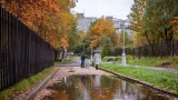 В Мурманской области сегодня до +20° и небольшой дождь