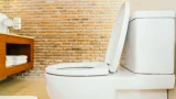 Бросаю горсть соли в унитаз: невероятный эффект — на уборку трачу не больше 5 минут