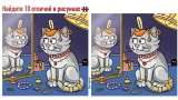 На 2 рисунках с кошками 10 отличий: найдите все за 55 секунд — возможно, вы гений
