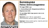 Ушла в лес и не вернулась: в Мурманской области почти неделю ищут пропавшую пенсионерку