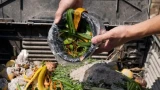 Ускоряют созревание компоста: 5 быстрых и бесплатных способов — готовим своими руками