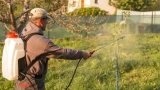 Обработка деревьев осенью: наиболее эффективен 1 препарат — защитит от болезней и вредителей
