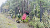 В Кольском районе перевернулся автомобиль, пострадали 3 человека