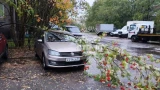Самойловой, Гаджиева, Лобова, Шмидта: В городах Мурманской области шторм повалил деревья на автомобили и дороги