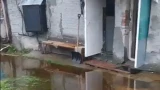 Плотину в Пушном прорвало во время дождей, затопило насосную станцию — соцсети