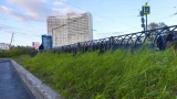 Температура воздуха в Мурманской области вновь выходит на двузначные цифры — эксперт из Москвы