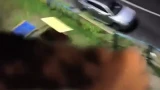 Житель Гаджиево выбросил с 5 этажа хомяка, собаку, аквариум, кошку — выжила только кошка