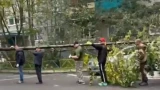 В Мурманске на Героев Рыбачьего жильцы дома платят УК и сами убирают мусор