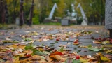 В Мурманской области будет облачно и безветренно