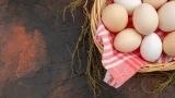 Вред и польза куриных яиц: главные мифы о холестерине и аллергии — сводим к нулю риск для здоровья