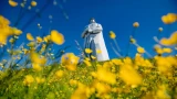 На ремонт мурманского «Алеши» выделят более 900 миллионов рублей