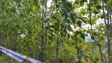 В Мурманской области ожидается усиление юго-западного ветра
