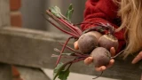 Свёкла не всегда союзник для здоровья: особенно после 50 — если есть неправильно
