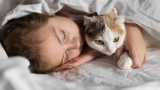 Спать с кошкой в одной кровати — не самая здоровая идея: врачи привели веские доводы