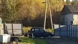 71 собака не уедет в Краснодар из отлова в Мурмашах