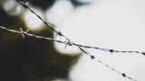Колючая проволока: кто и где изобрёл — как появилась в России