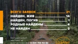 Найден, жив: за сентябрь в Мурманской области волонтеры нашли 14 пропавших без вести