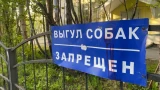 Хозяйка собаки из Африканды заплатит 50 тысяч рублей покусанной пенсионерке