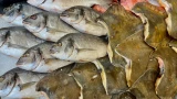 Почти на 30% сократился экспорт мурманской рыбной продукции