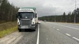 Житель Карелии разъезжал пьяным на фуре по Мурманской области